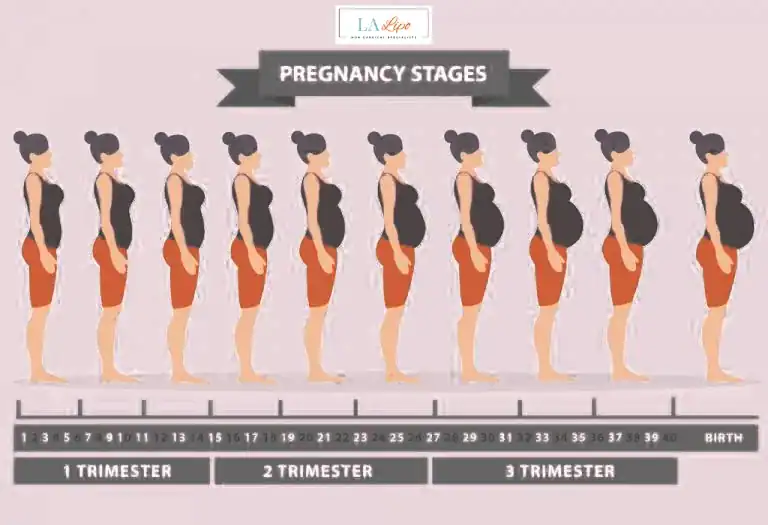 First Trimester (Weeks 1–12): Early Changes You Might Not Notice Fareham